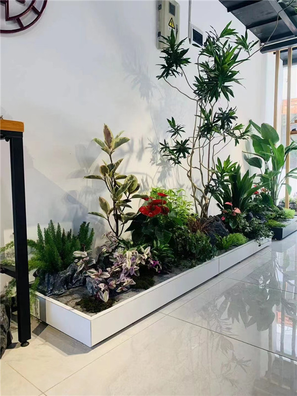 北京綠植租擺專業(yè)綠植租擺公司